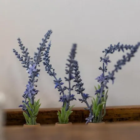 Graca Garden * توريس فيدراس