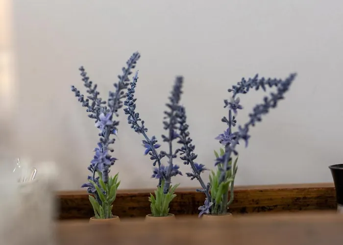 Graca Garden * Торреш-Ведраш