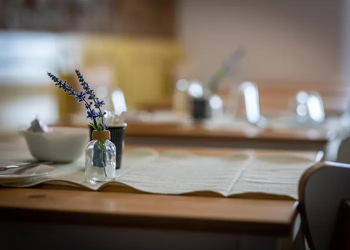 Отель Graca Garden Торреш-Ведраш